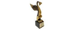 Award 10