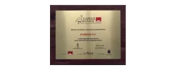 Award 5