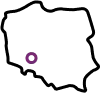 Icon Poland