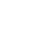 polish capital icon