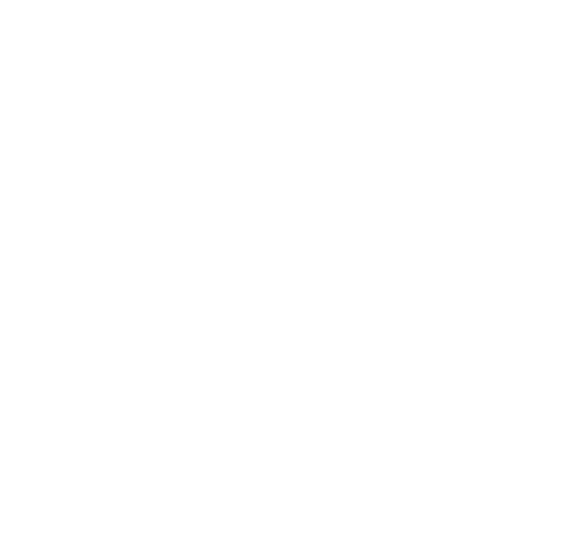 Flag of poland
