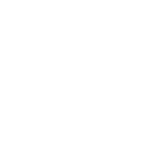 Flag of poland